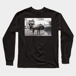 On the farm Long Sleeve T-Shirt